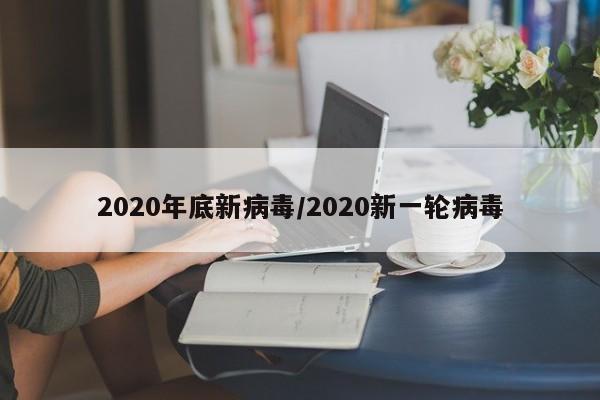 2020年底新病毒/2020新一轮病毒