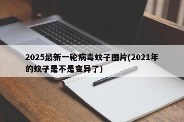 2025最新一轮病毒蚊子图片(2021年的蚊子是不是变异了)
