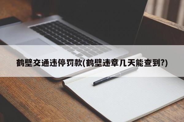鹤壁交通违停罚款(鹤壁违章几天能查到?)